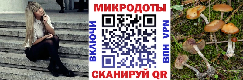 Псилоцибиновые грибы мухоморы  где можно купить наркотик  Чулым 